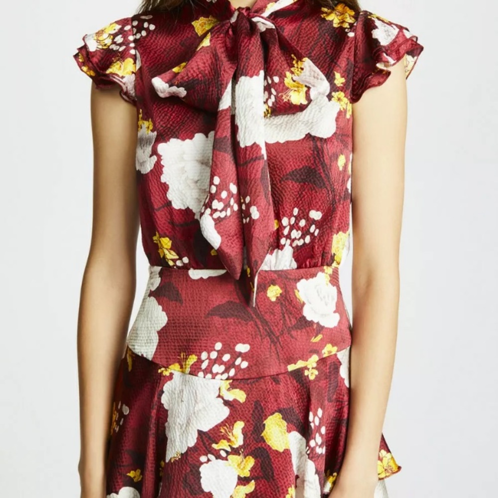 Alice and Olivia silk dress
